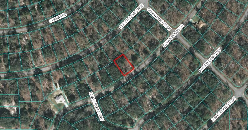 Listing Details for 00 Guava Place Drive, OCKLAWAHA, FL 32179