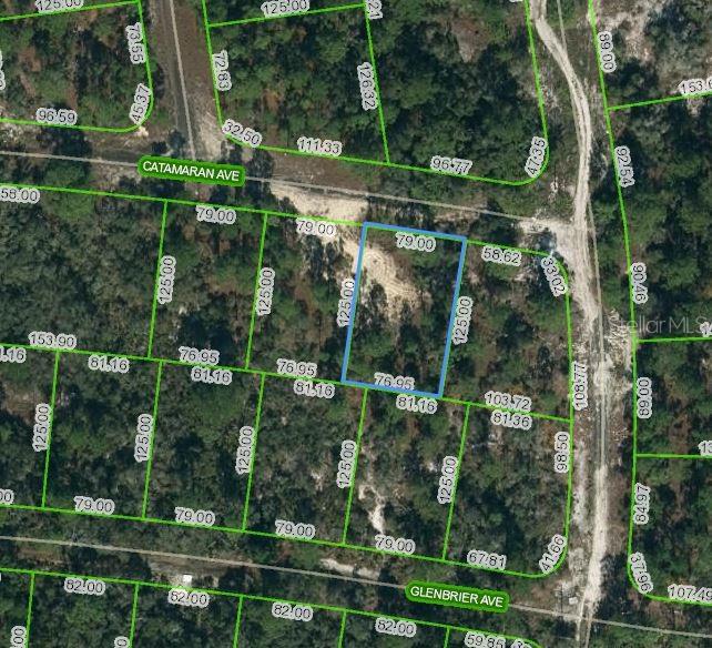 Listing Details for 341 Catamaran Avenue, LAKE PLACID, FL 33852