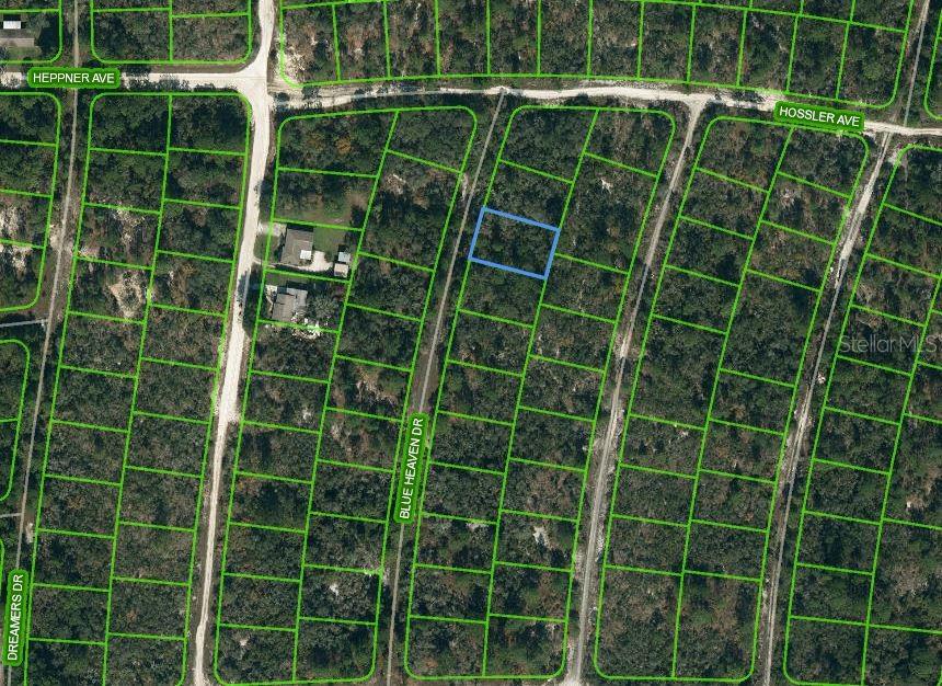 Listing Details for 331 Blue Heaven Drive, LAKE PLACID, FL 33852