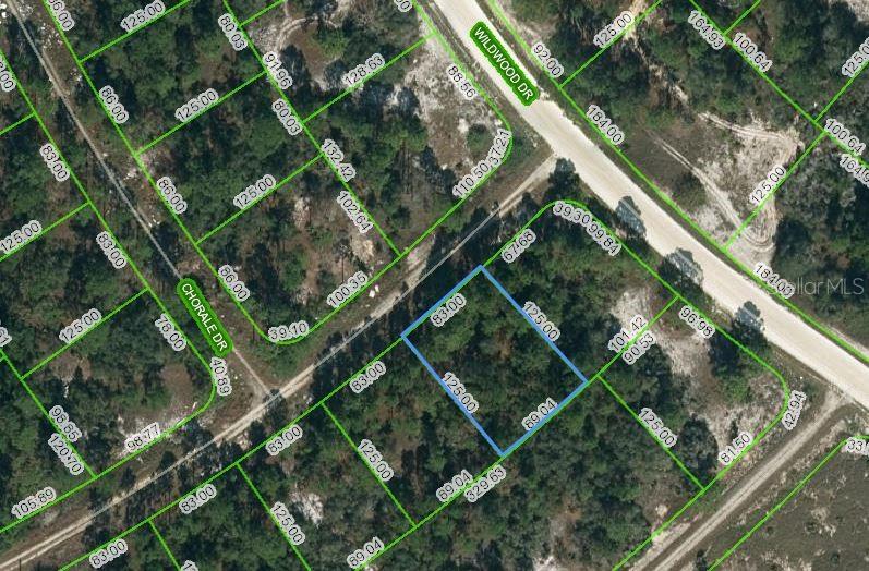 Details for 391 Cartier Avenue, LAKE PLACID, FL 33852