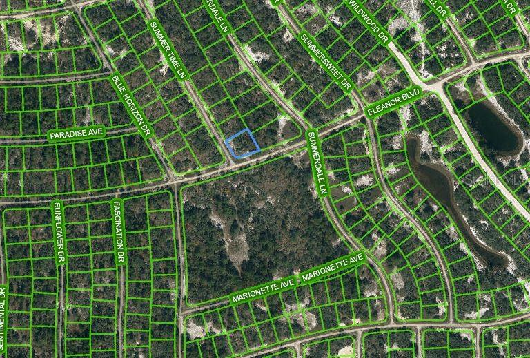 Listing Details for 384 Eleanor Boulevard, LAKE PLACID, FL 33852