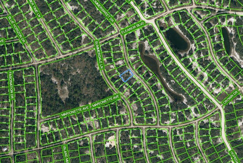 Listing Details for 316 Summersweet Drive, LAKE PLACID, FL 33852