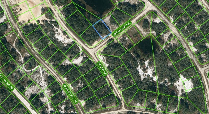 Listing Details for 506 Dreamland Avenue, LAKE PLACID, FL 33852