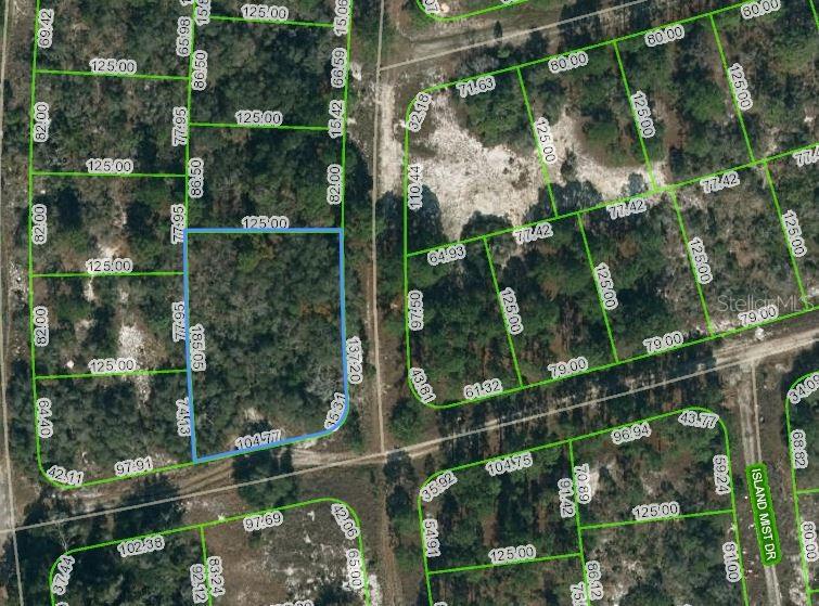 Listing Details for 238 Horizon Drive, LAKE PLACID, FL 33852