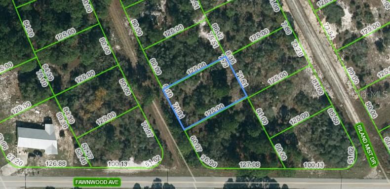 Listing Details for 203 Blue Horizon Drive, LAKE PLACID, FL 33852