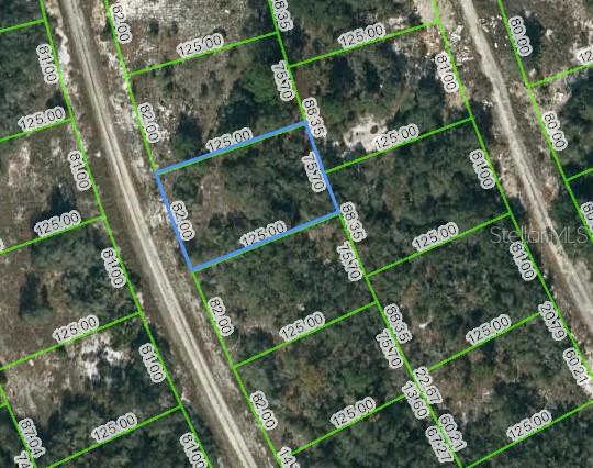 Listing Details for 217 Blue Sky Drive, LAKE PLACID, FL 33852