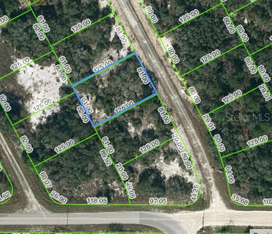Listing Details for 204 Deep Purple Drive, LAKE PLACID, FL 33852