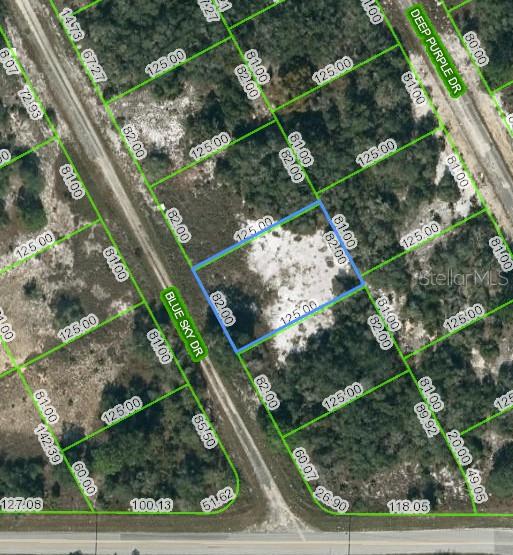 Listing Details for 205 Blue Sky Drive, LAKE PLACID, FL 33852