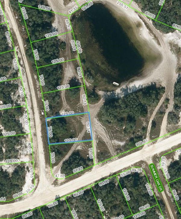 Listing Details for 203 Sunway Drive, LAKE PLACID, FL 33852