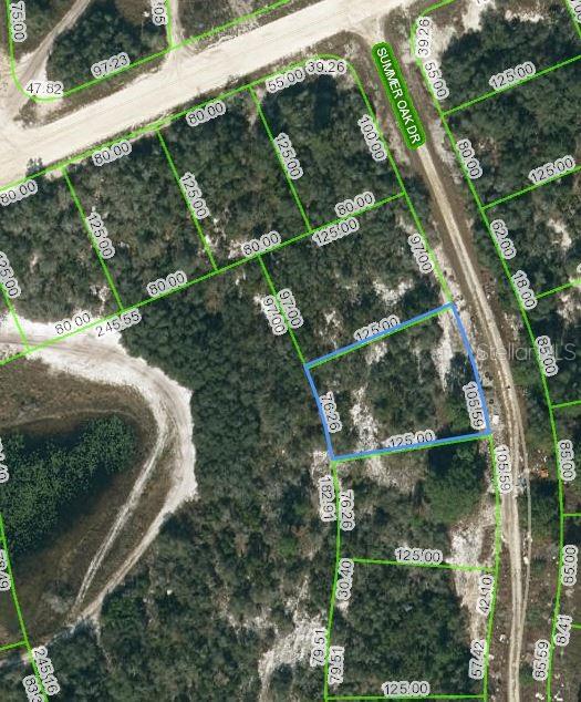 Listing Details for 130 Summer Oak Court, LAKE PLACID, FL 33852