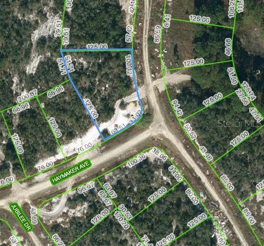 Listing Details for 124 Summer Oak Court, LAKE PLACID, FL 33852