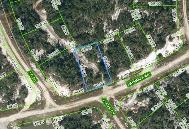 Listing Details for 488 Haymaker Avenue, LAKE PLACID, FL 33852
