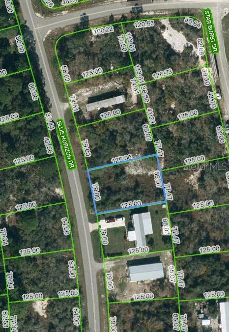 Listing Details for 109 Blue Horizon Drive, LAKE PLACID, FL 33852