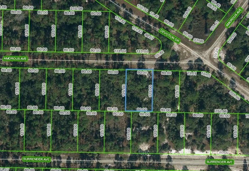 Listing Details for 427 Amorous Avenue, LAKE PLACID, FL 33852