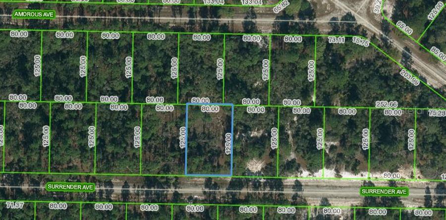 Listing Details for 420 Surrender Avenue, LAKE PLACID, FL 33852