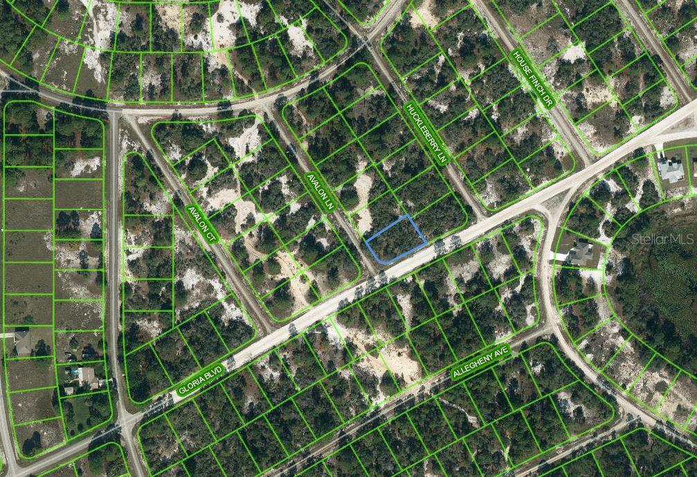 Listing Details for 601 Avalon Lane, LAKE PLACID, FL 33852