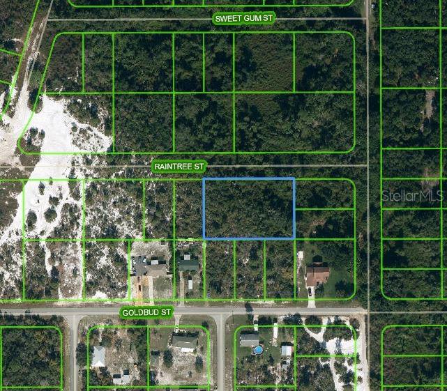 Details for 1515 Raintree Street, LAKE PLACID, FL 33852