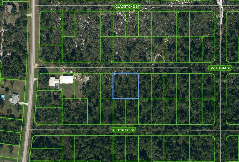 Details for 1411 Caladium Street, LAKE PLACID, FL 33852