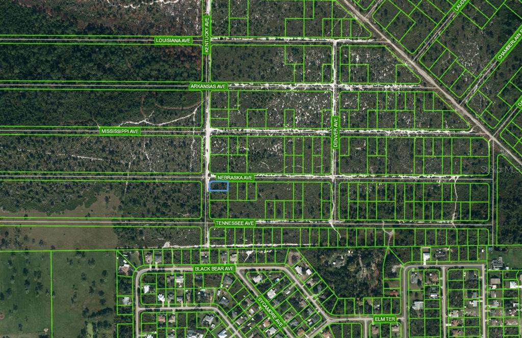 Listing Details for 511 Kentucky Avenue, LAKE PLACID, FL 33852