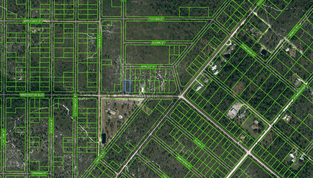Listing Details for 769 Washington Boulevard, LAKE PLACID, FL 33852