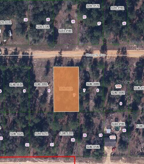 Details for 115 Branch Avenue, INTERLACHEN, FL 32148