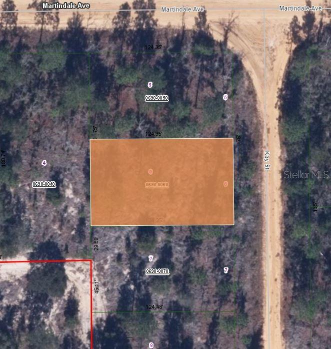 Details for 00 Kay Street, INTERLACHEN, FL 32148