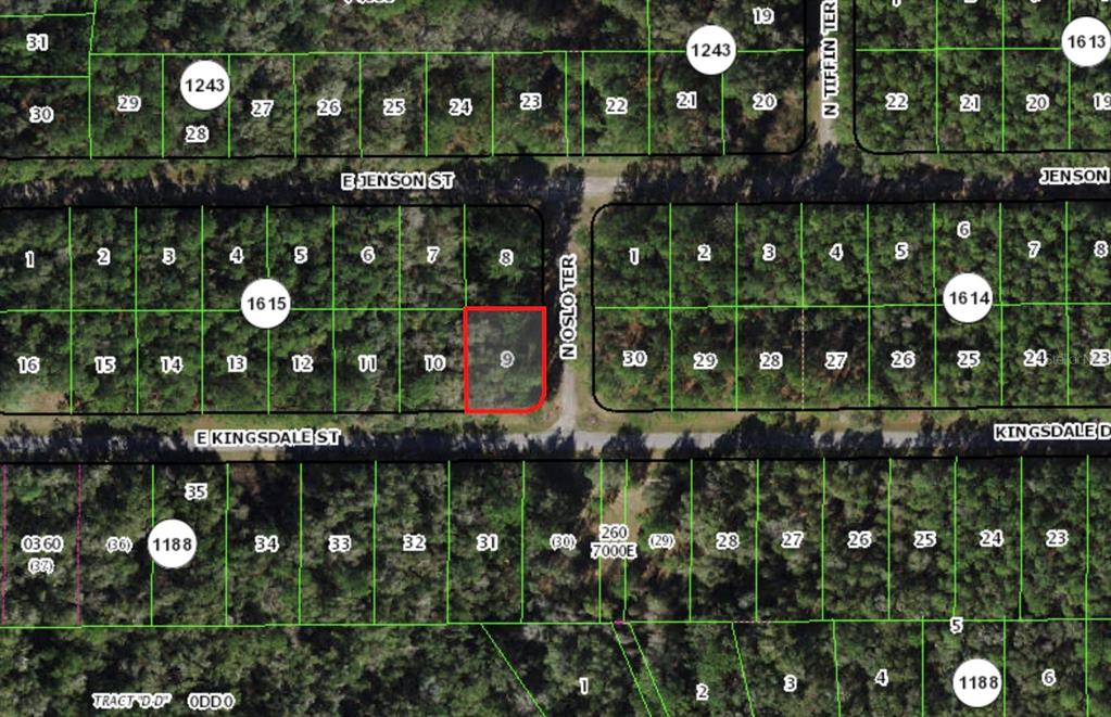 Listing Details for 9060 Oslo Terrace, CITRUS SPRINGS, FL 34434