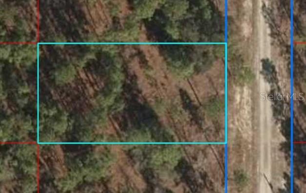 Details for Lot 12 136th Avenue, DUNNELLON, FL 34431