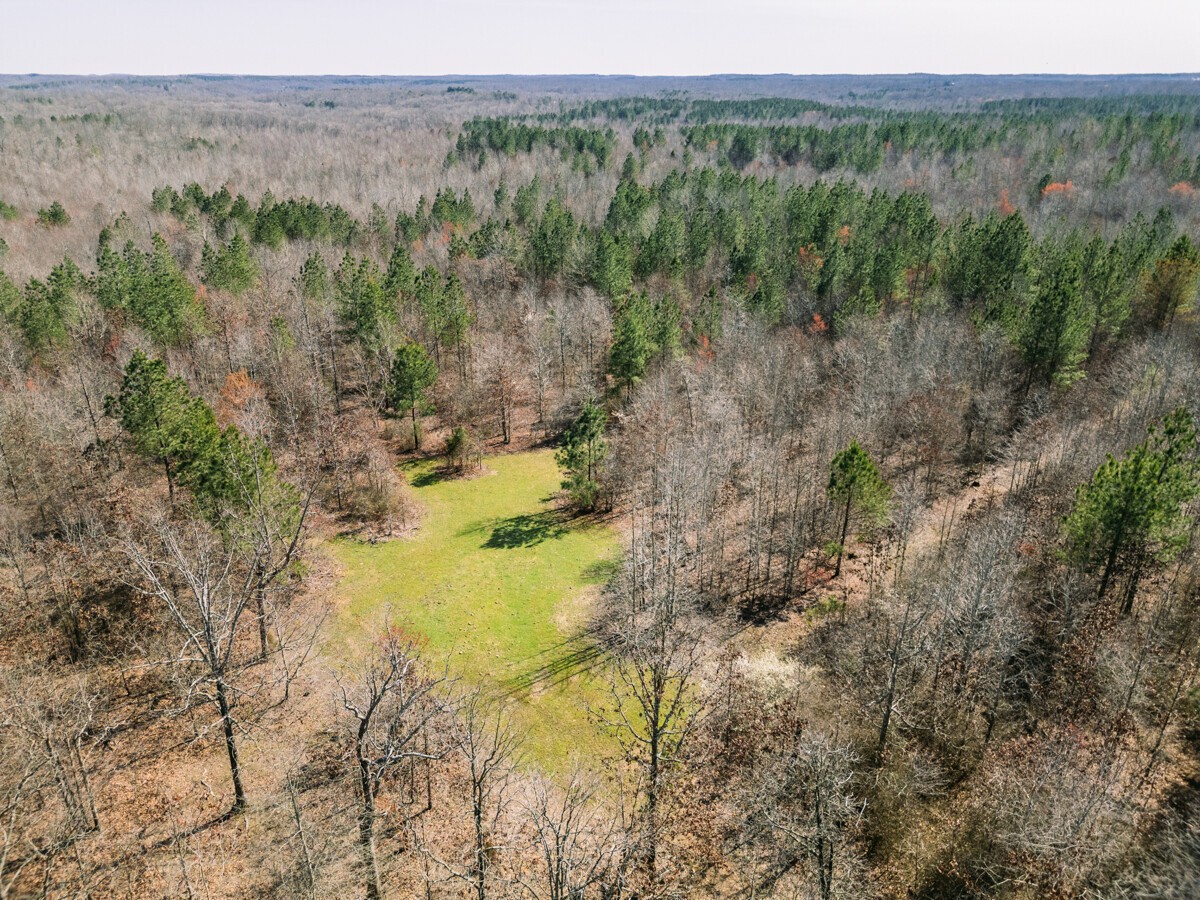 Details for 0 Sulphur Creek Road, Big Sandy, TN 38221