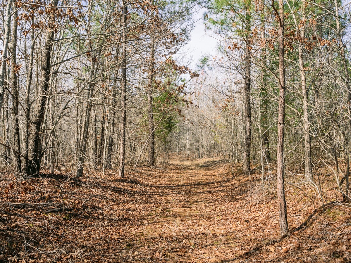 Image 12 of 40 For 0 Sulphur Creek Road