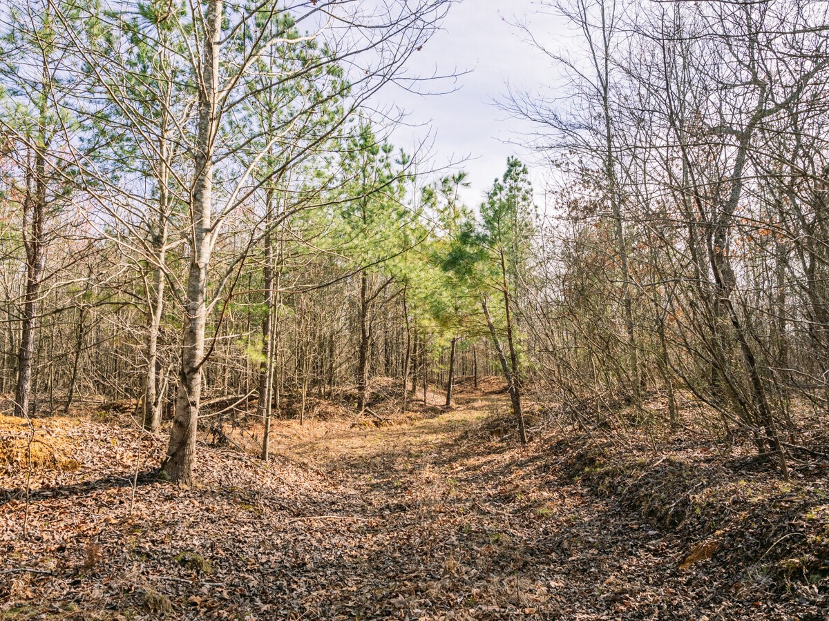 Image 13 of 40 For 0 Sulphur Creek Road