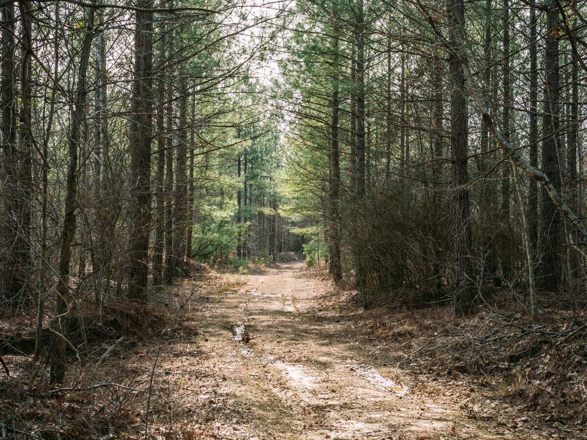 Image 14 of 40 For 0 Sulphur Creek Road