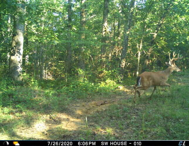 Image 34 of 40 For 0 Sulphur Creek Road