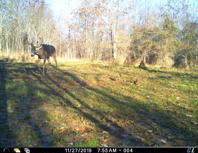 Image 36 of 40 For 0 Sulphur Creek Road