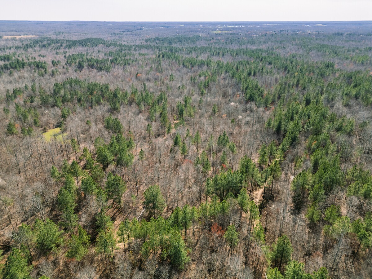 Image 5 of 40 For 0 Sulphur Creek Road