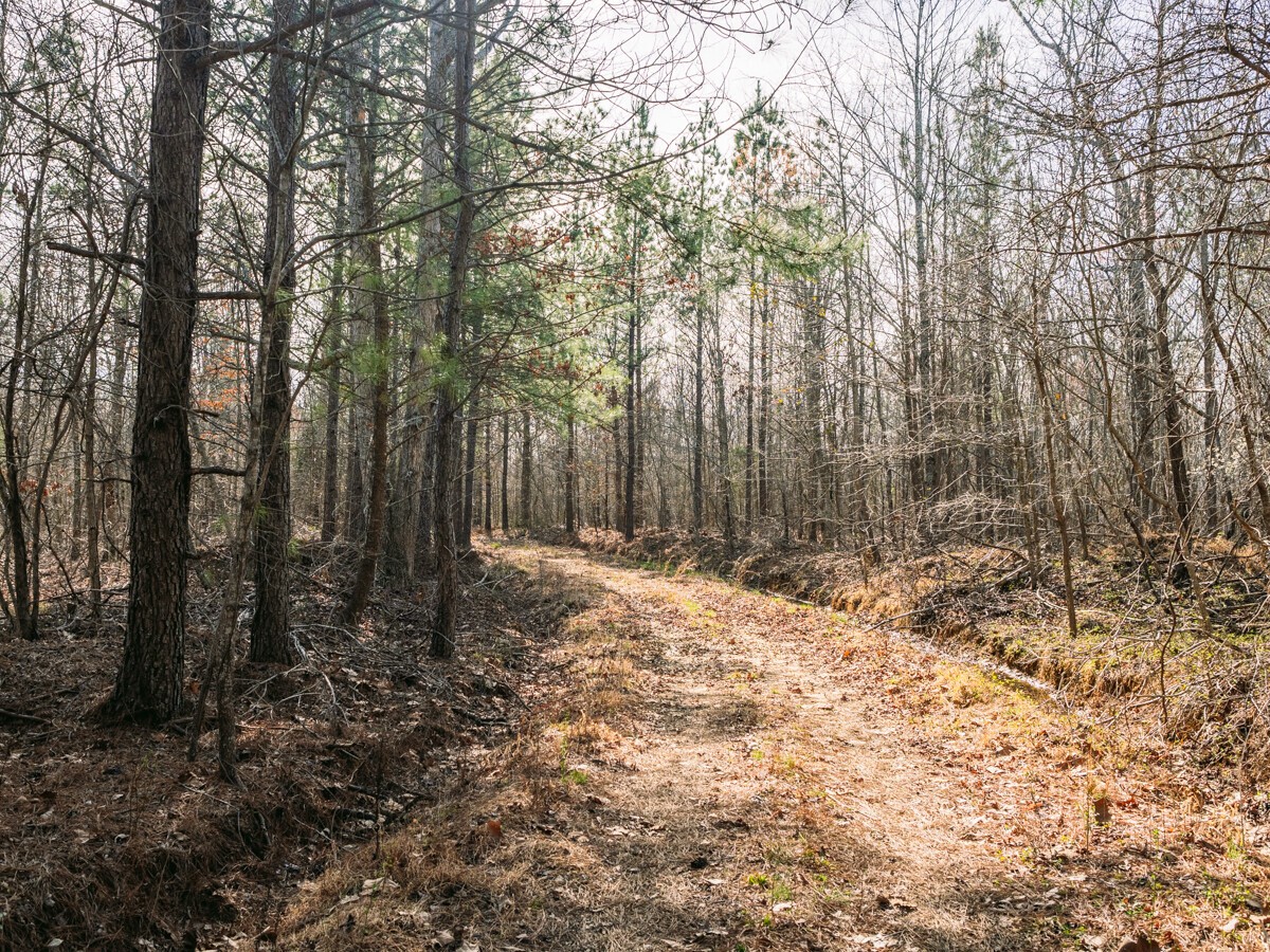 Image 6 of 40 For 0 Sulphur Creek Road