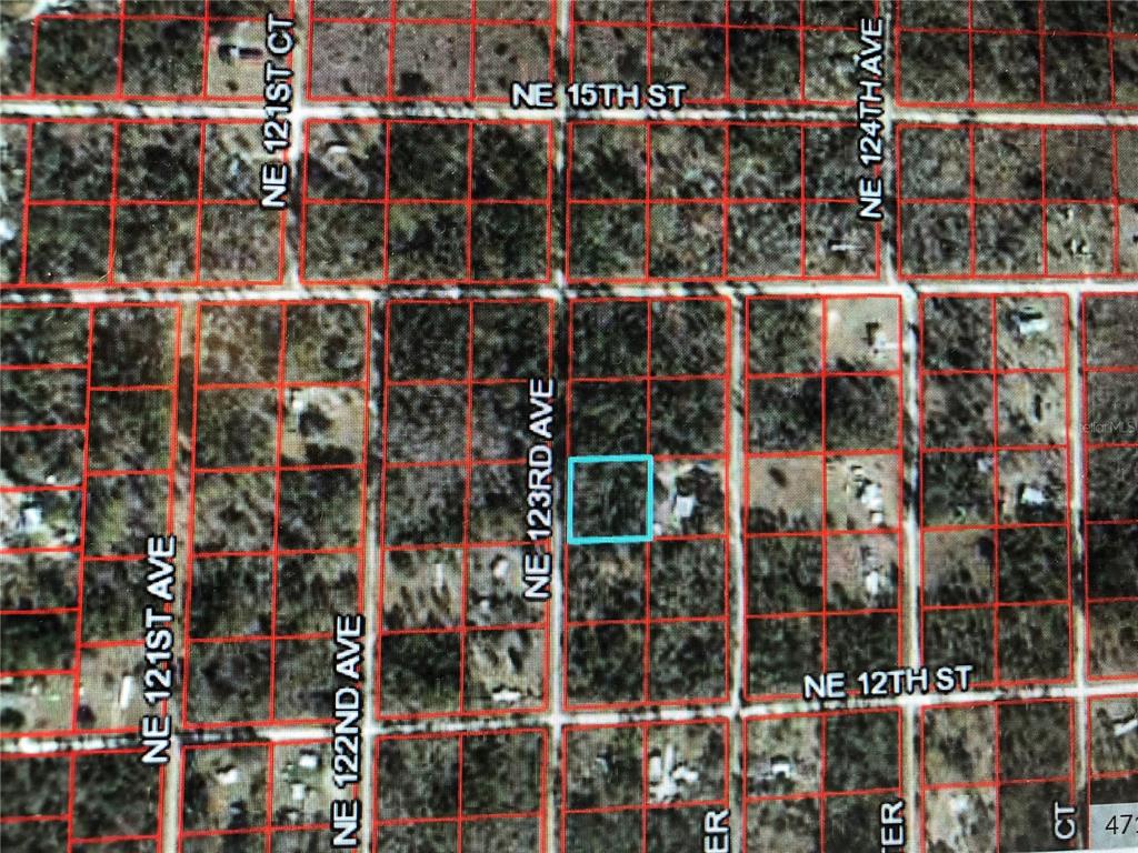 Details for 0 123rd Avenue, WILLISTON, FL 32696