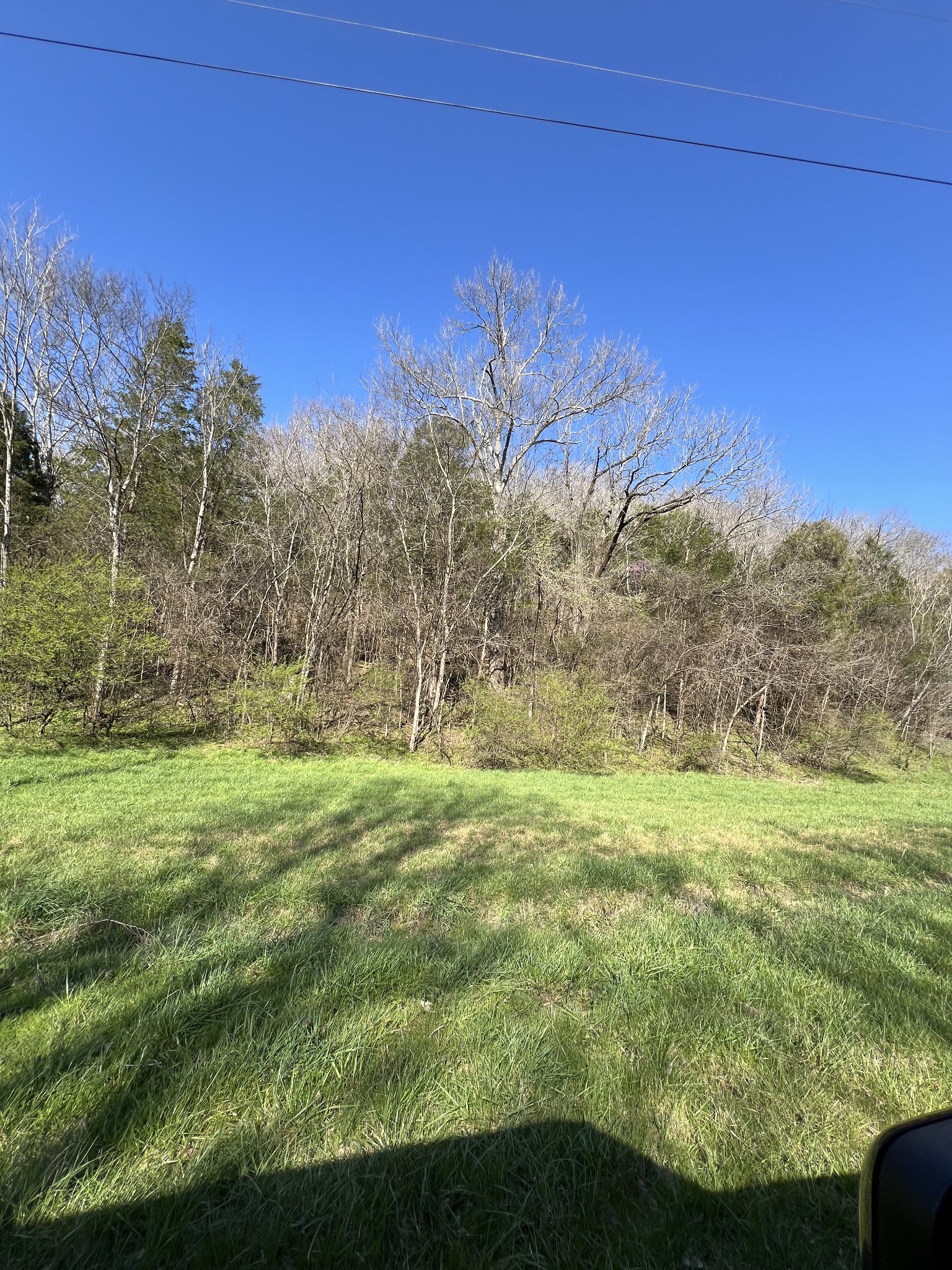 Listing Details for 0 Spring Valley Road, Taft, TN 38488