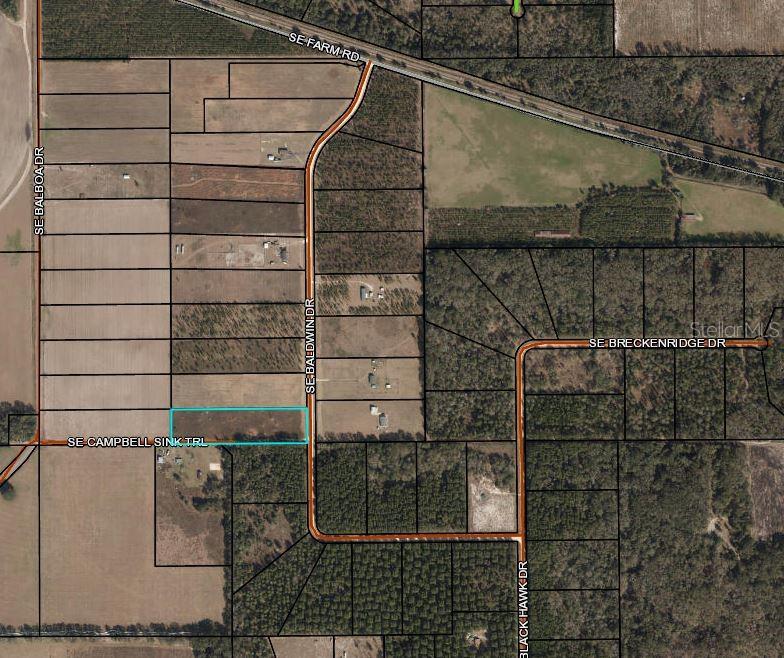 Details for Baldwin Drive, LEE, FL 32059