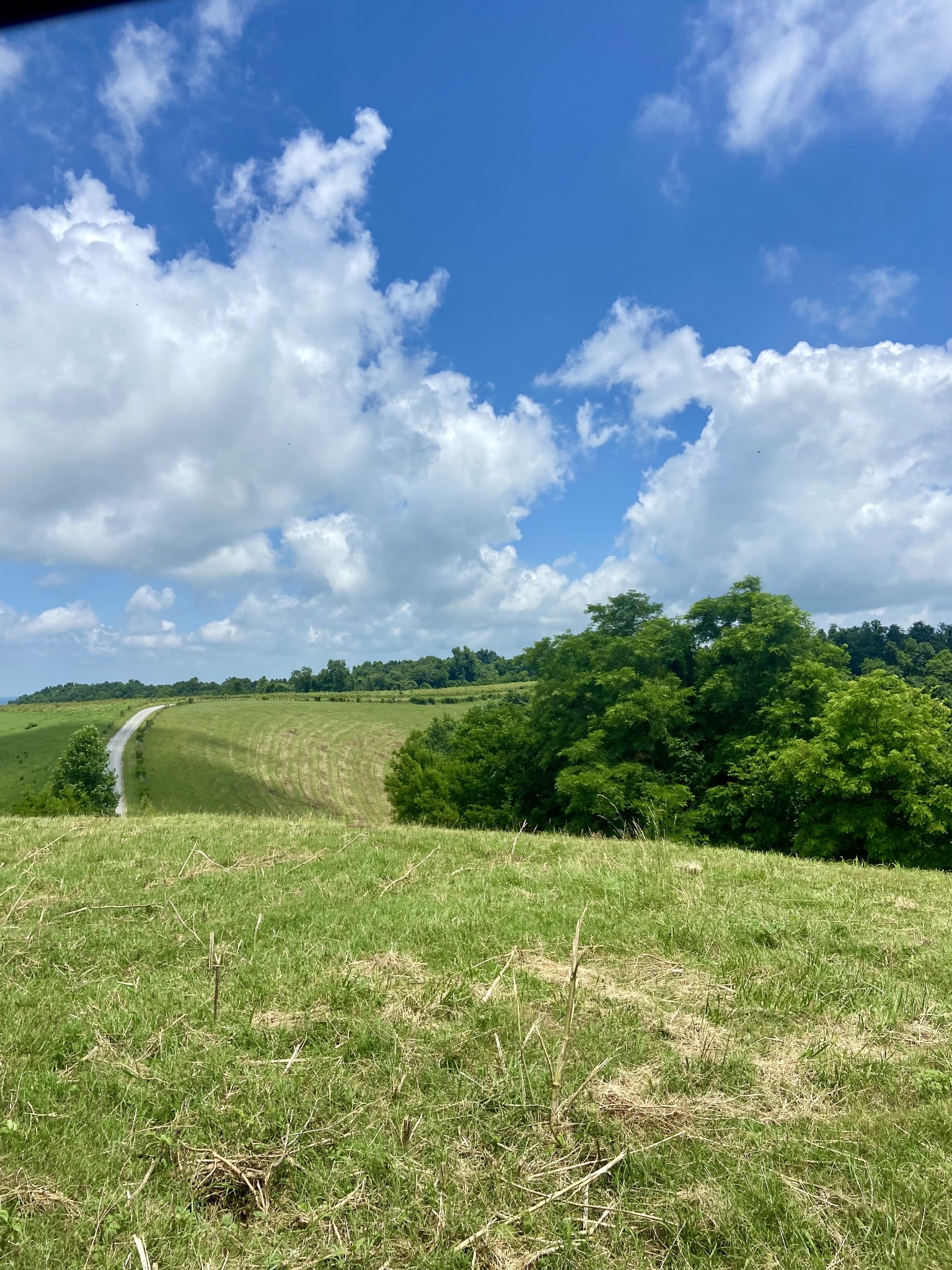 Details for 0 Foster Hollow Road, Petersburg, TN 37144