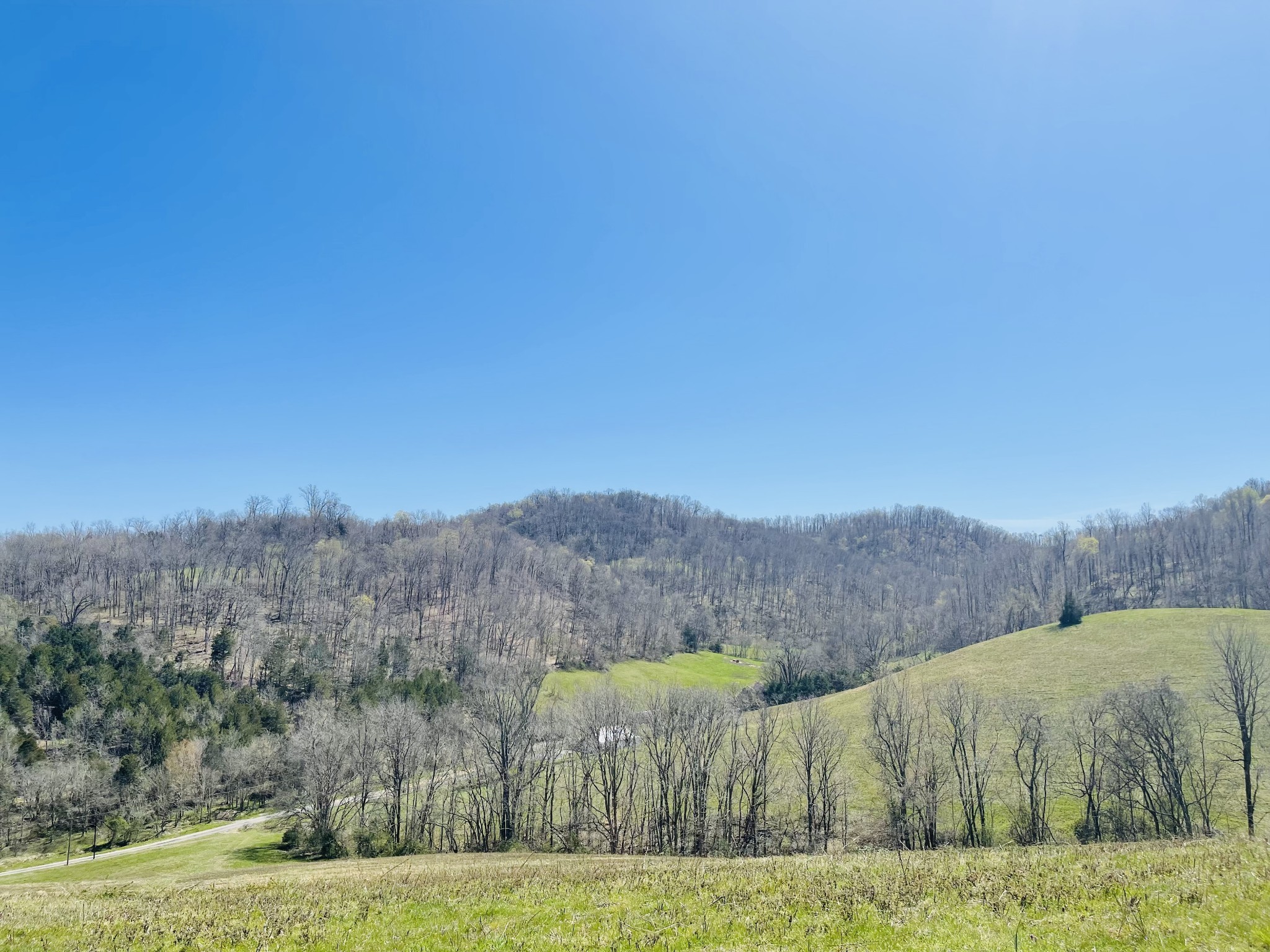 Details for 242 Whyte Tenpenny Rd, Woodbury, TN 37190