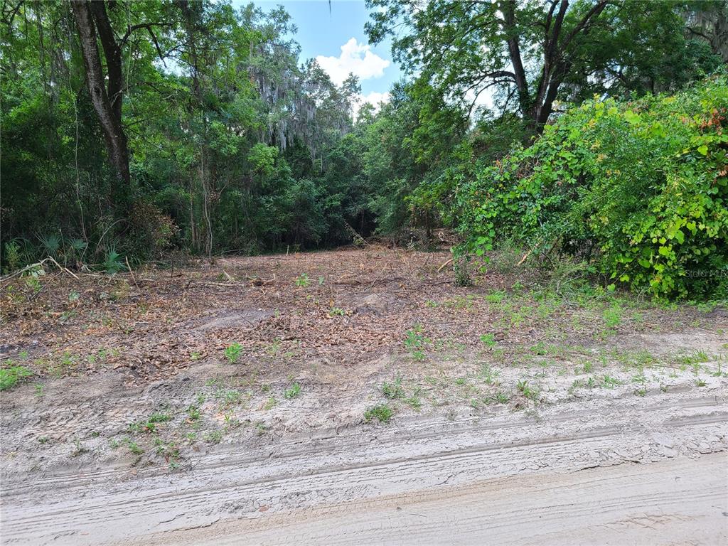 Details for 0 95th Street, OCKLAWAHA, FL 32179