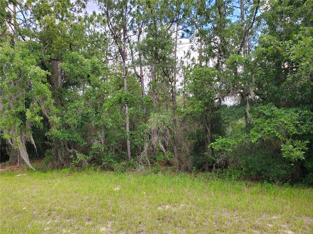 Image 7 of 7 For 8650 138 Lane