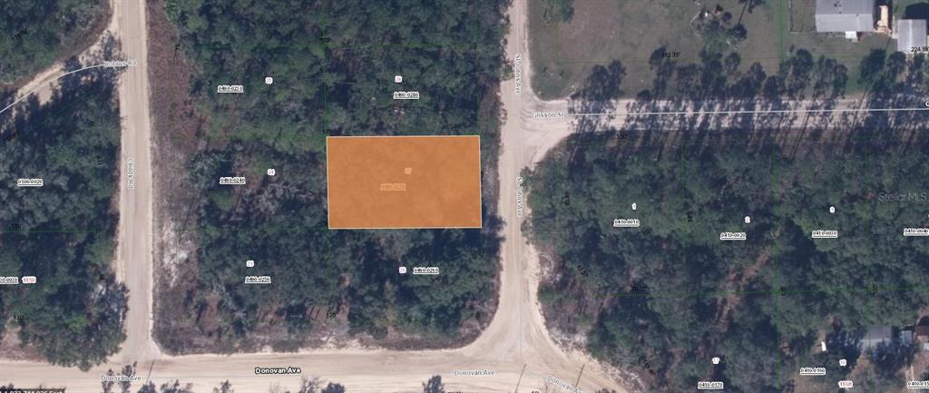 Listing Details for 103 St Johns Avenue, INTERLACHEN, FL 32148