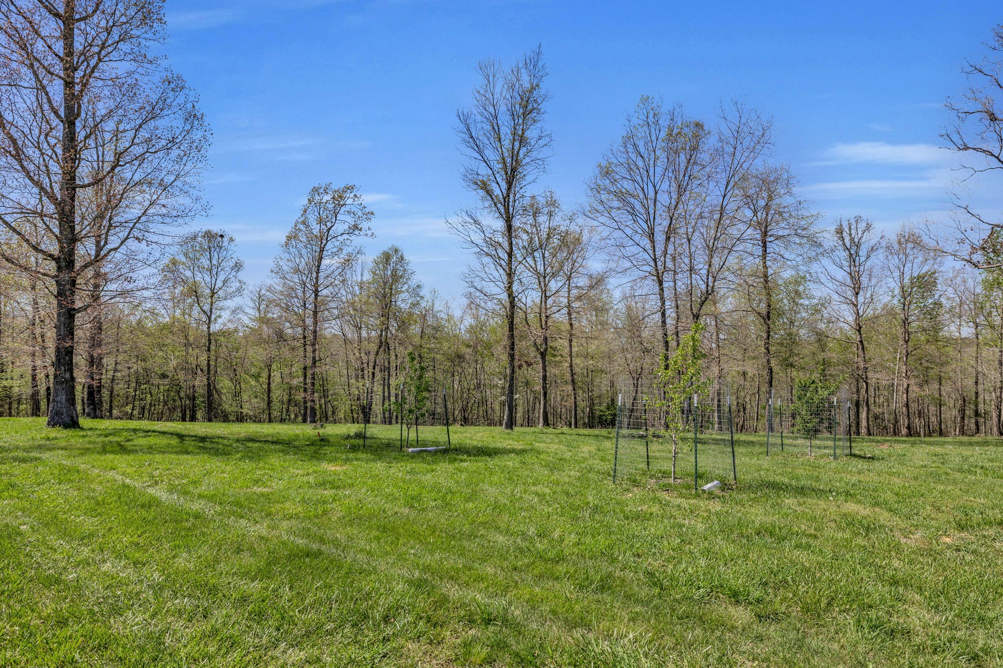 Details for 7850 W Lick Creek Rd, Primm Springs, TN 38476