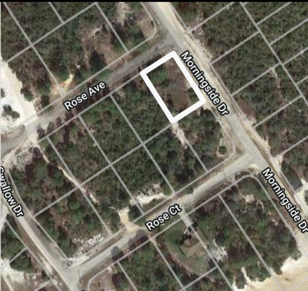 Listing Details for 459 Harmon Avenue, LAKE PLACID, FL 33852