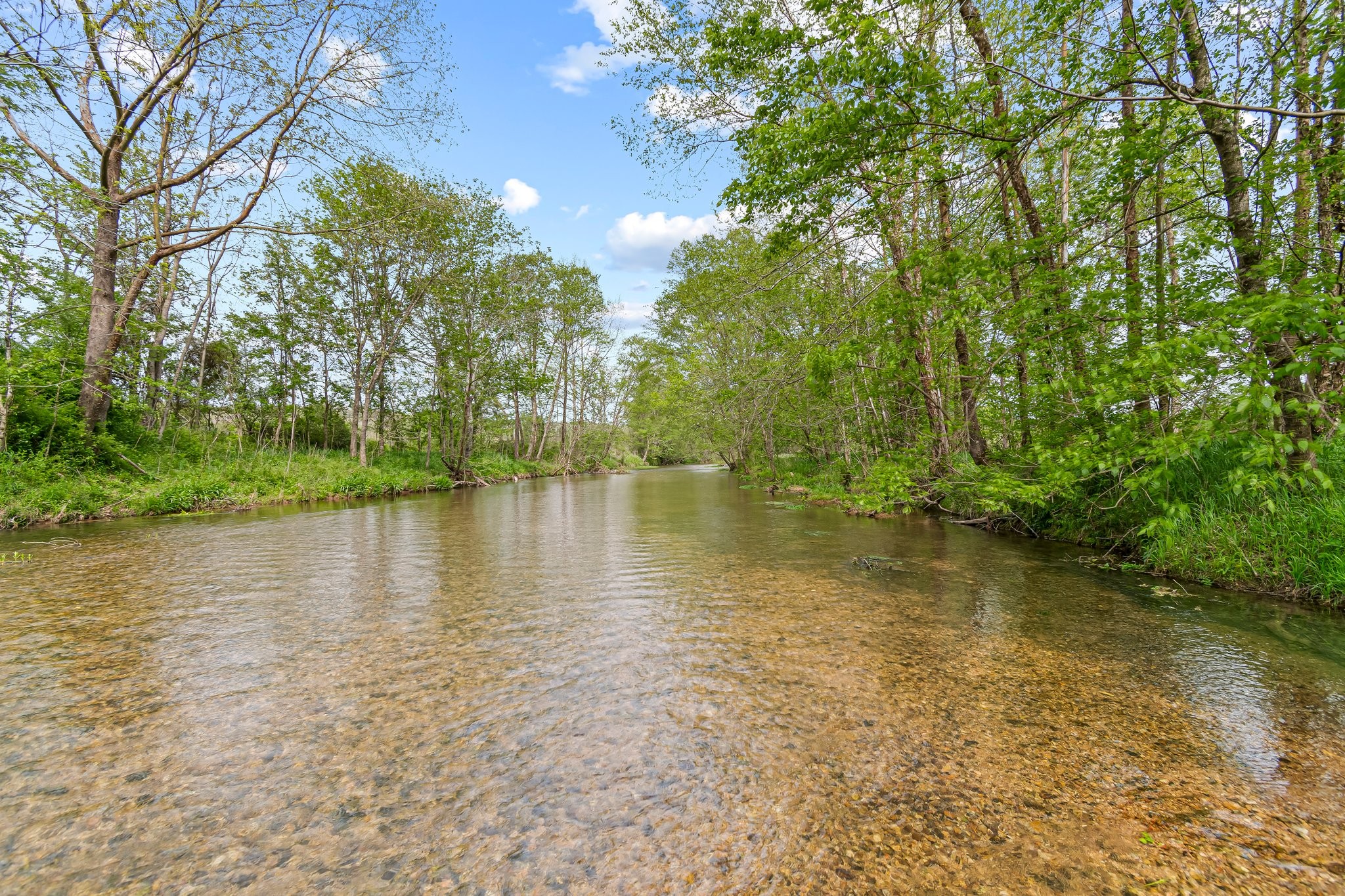 Details for 0 Backside Beaverdam Road, Centerville, TN 37033