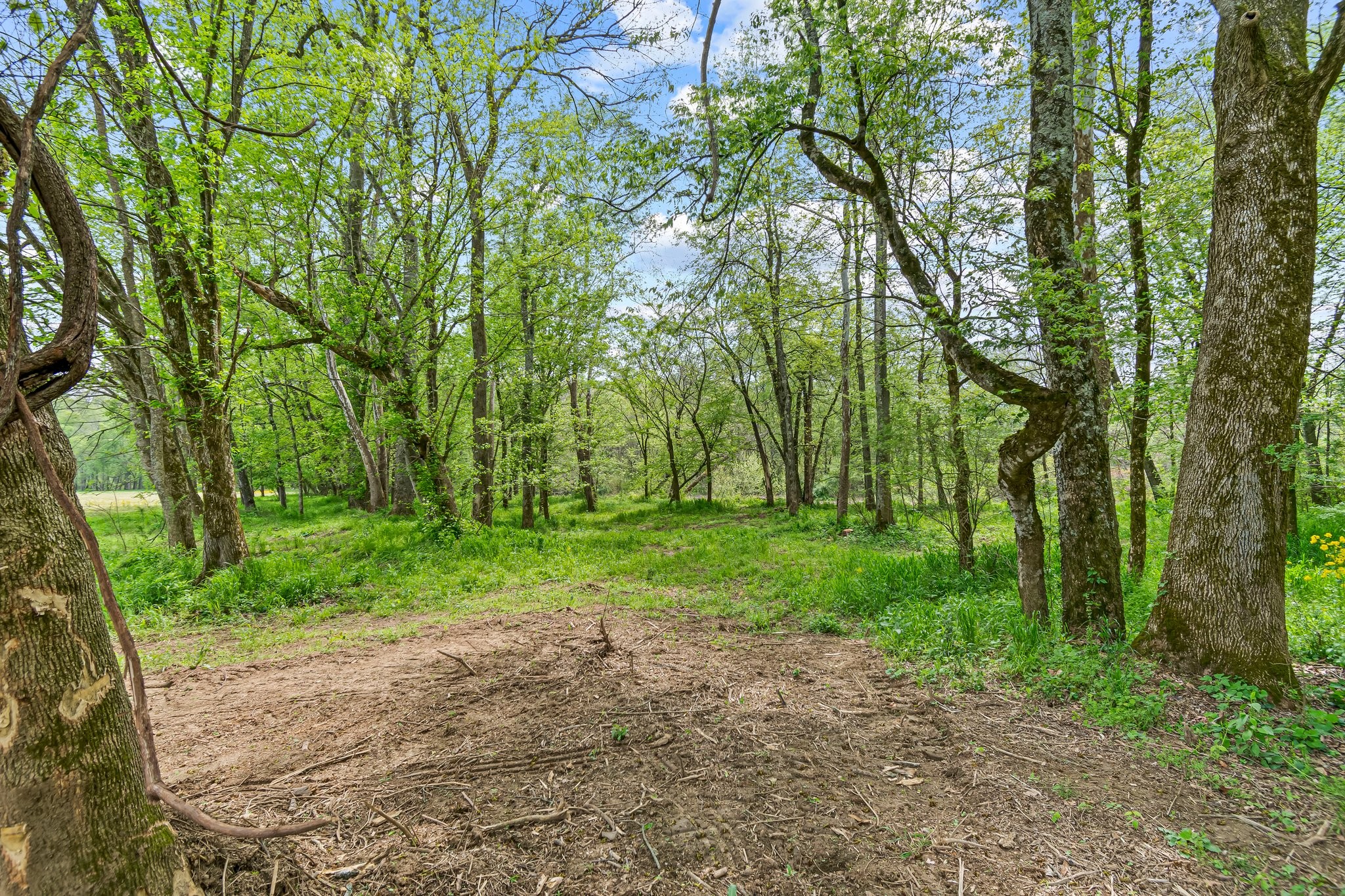 Image 11 of 53 For 0 Backside Beaverdam Road