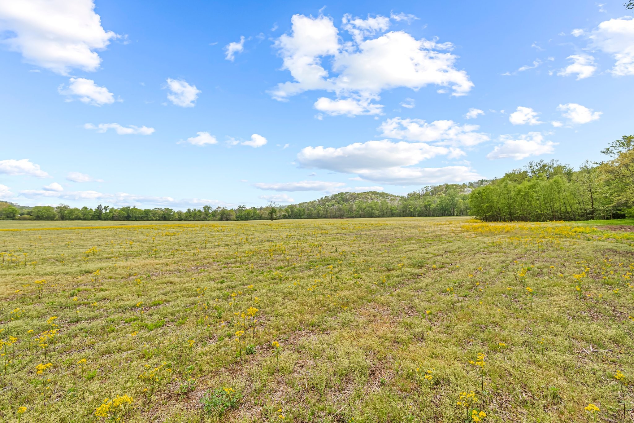 Image 12 of 53 For 0 Backside Beaverdam Road