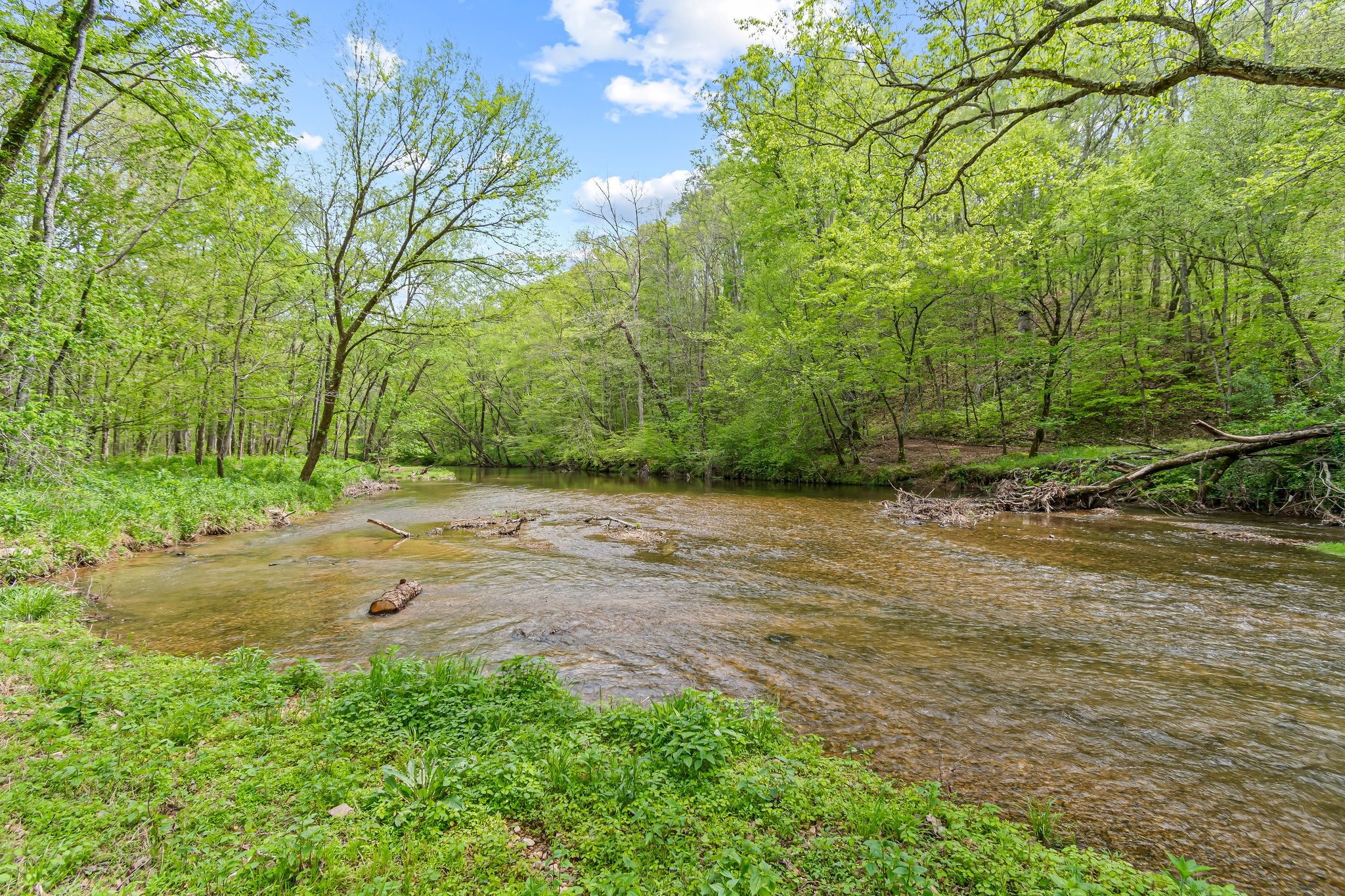 Image 13 of 53 For 0 Backside Beaverdam Road